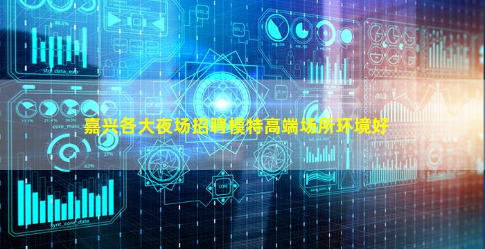 嘉兴各大夜场招聘模特高端场所环境好